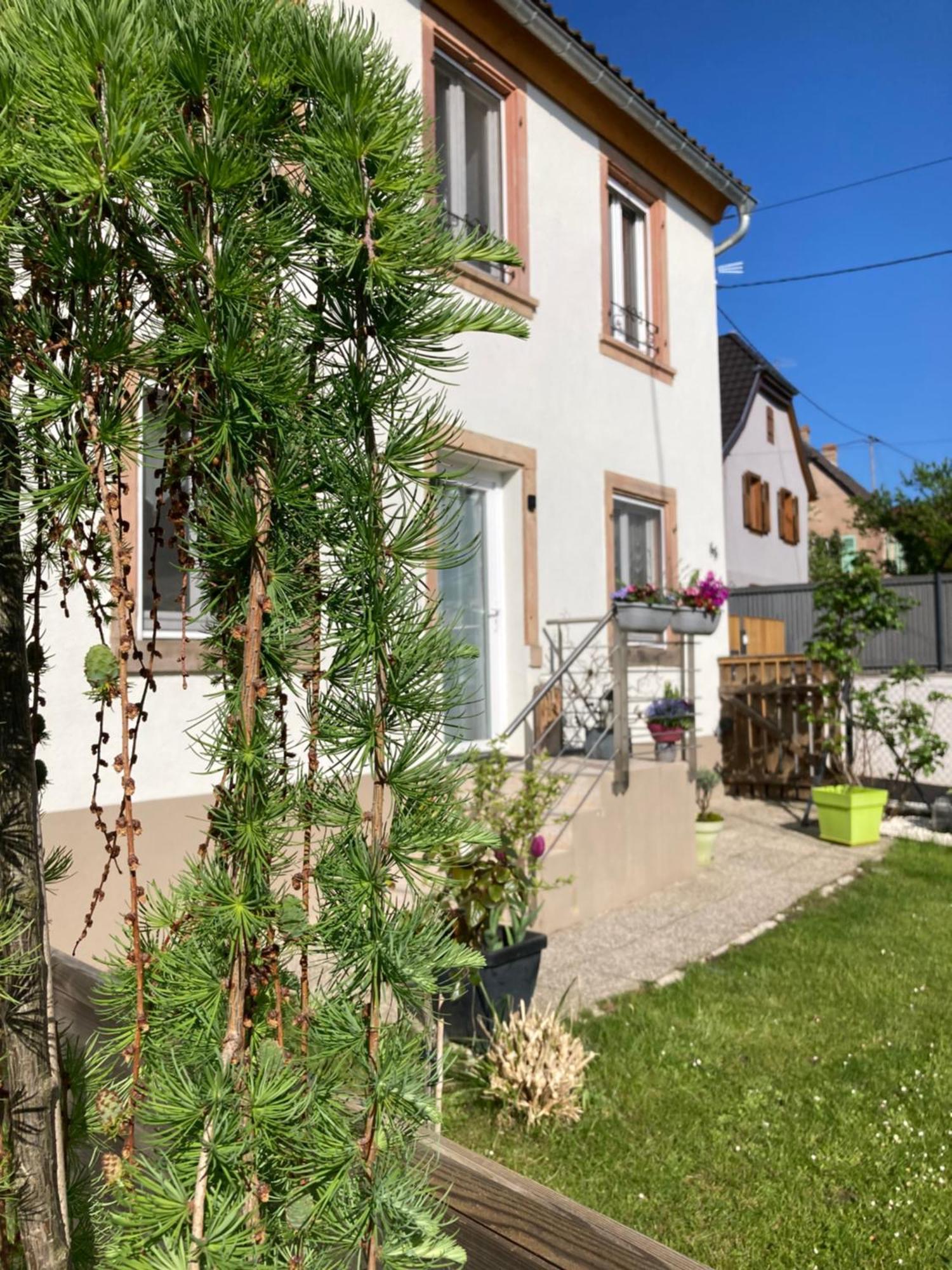 Gite Le 1602 Saint-Nabor Экстерьер фото